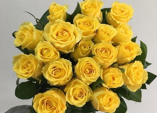 表示原谅的花