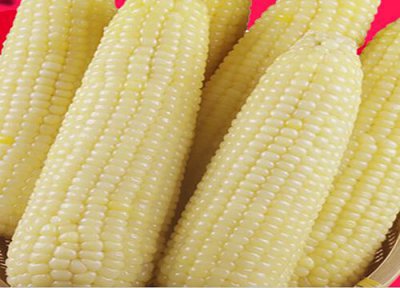 玉米收获时间 玉米什么时候收获