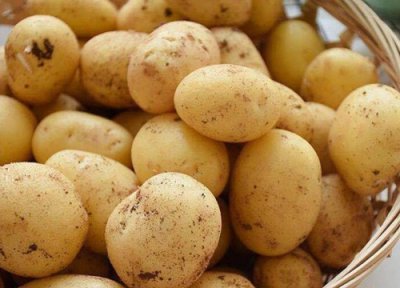 土豆冷冻保存 土豆可以冷冻保存吗