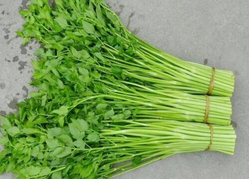 水芹菜的功效与作用