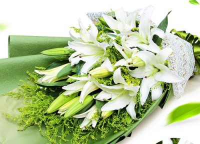 白色百合花语 白色百合花的花语和寓意
