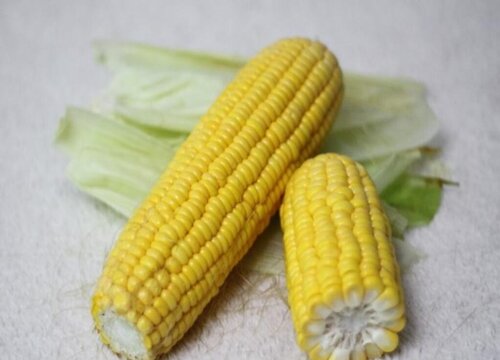 玉米能放冰箱吗