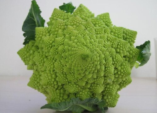 椰菜可以生吃吗
