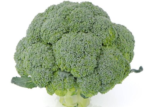 椰菜可以生吃吗