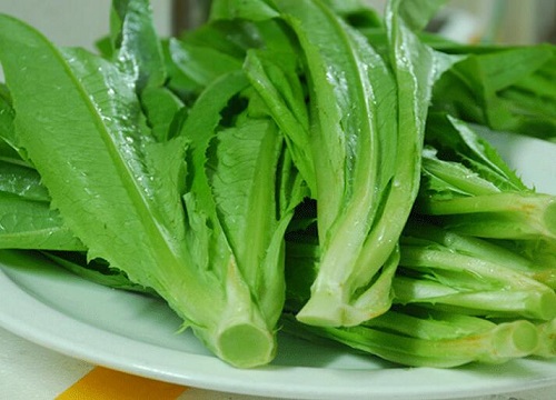 油麦菜是油菜吗