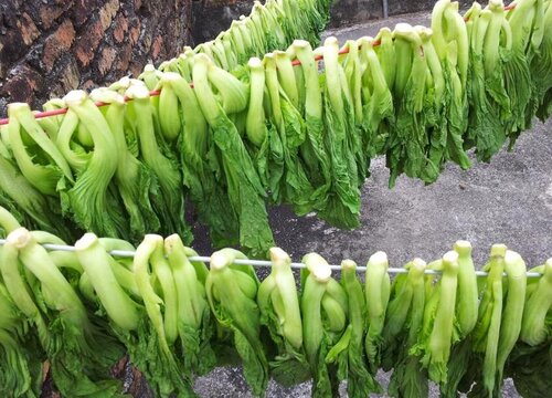 梅菜是雪里红吗