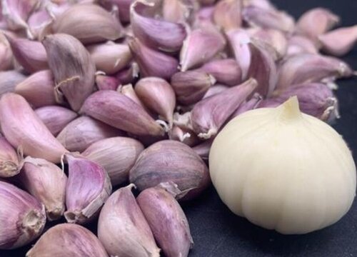 大蒜是热性还是凉性