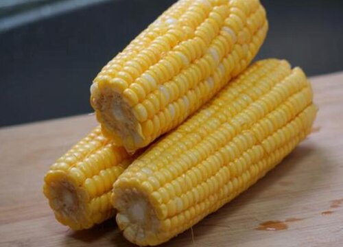 新鲜玉米可以冷冻保存吗