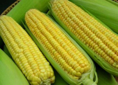 新鲜玉米冷冻保存 新鲜玉米可以冷冻保存吗
