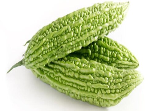 苦瓜是热性还是凉性