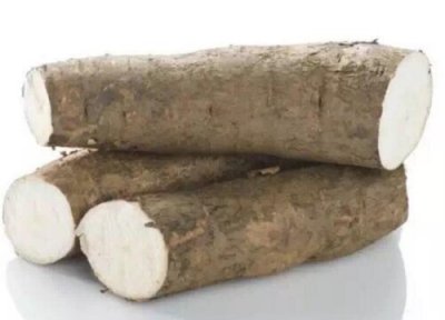 木薯简介 木薯和红薯的区别