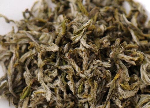 蒙顶甘露属于什么茶
