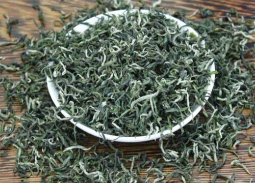 蒙顶甘露属于什么茶