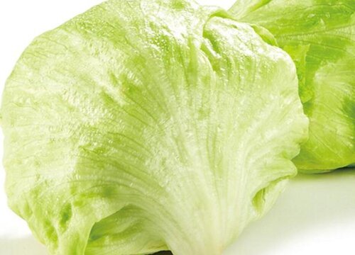 西生菜可以生吃吗