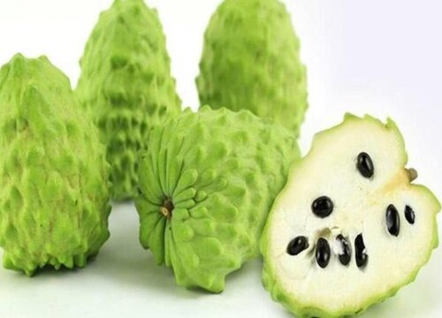 释迦果的功效与作用