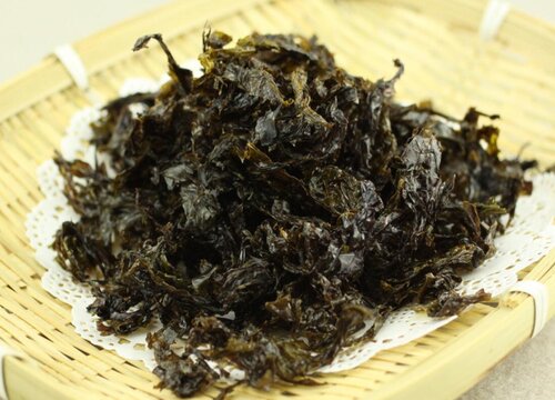 紫菜长在哪里