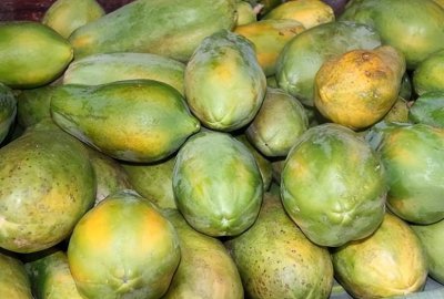 水果木瓜特点 水果木瓜的功效与作用