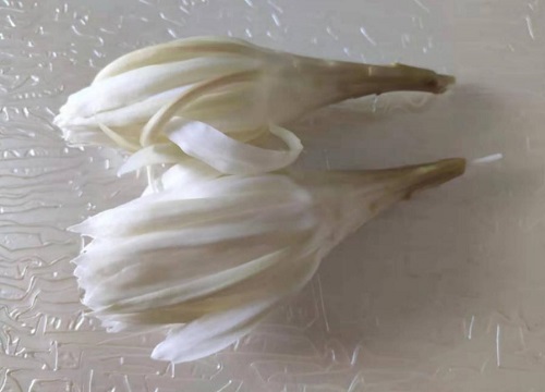 昙花哪些部位不能吃