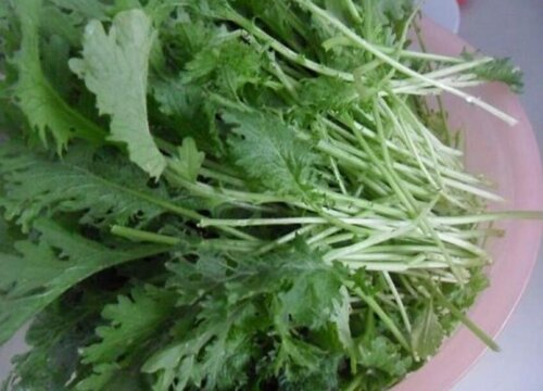 农村说的辣菜是什么菜做的