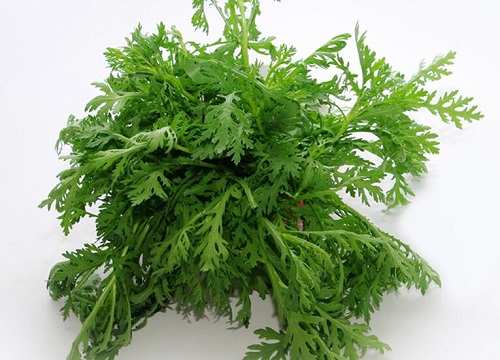 茼蒿是温性的还是寒性的蔬菜
