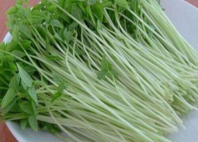 四川的芽菜是什么菜做出来的 腌制的芽菜图片