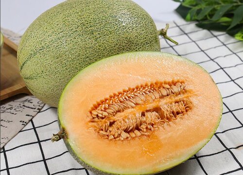 蜜瓜品种名称及图片