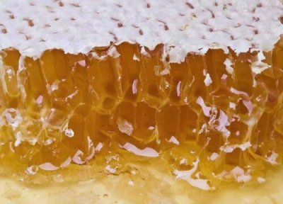龙眼蜜是热性还是凉性 龙眼蜜属于热性还是凉性