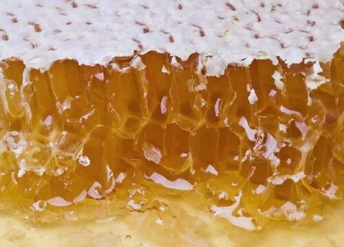龙眼蜜是热性还是凉性