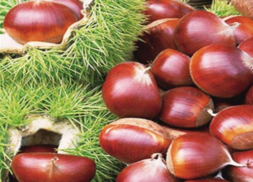 生板栗怎么去壳