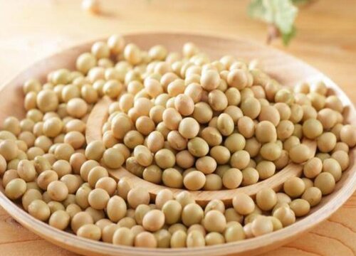 毛豆和黄豆的区别