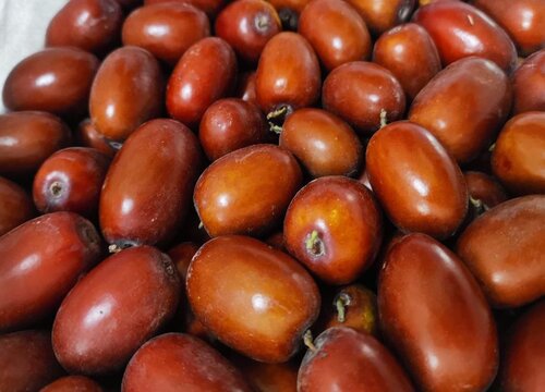 红枣发苦还能吃吗