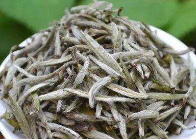 白牡丹茶的功效与作用