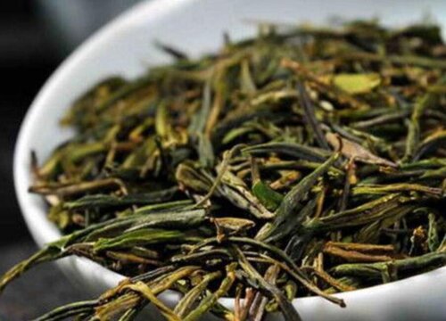 黄芽属于什么茶