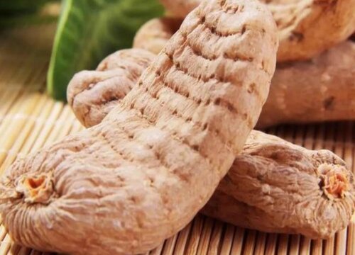 天麻可以生吃吗