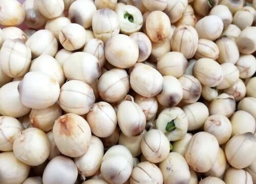 生莲子可以生吃吗