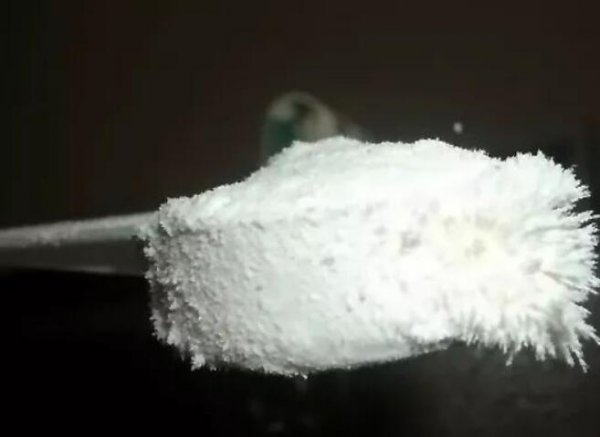 甲壳素对植物的作用