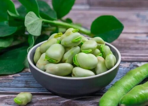 蚕豆的功效与作用及食用方法