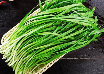 韭菜是什么植物 韭菜属于什么类植物