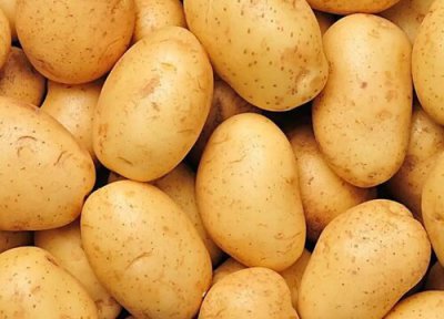 什么人不适合吃 土豆含糖量高吗