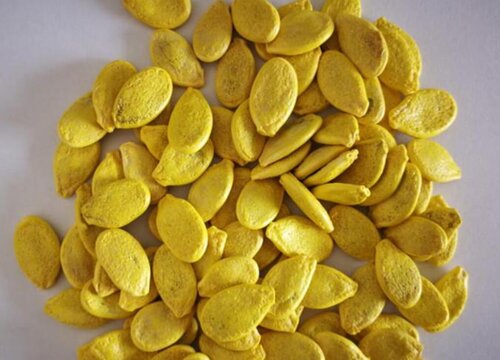 板栗南瓜籽能吃吗