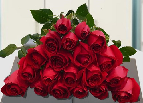 33朵玫瑰花的花语是什么