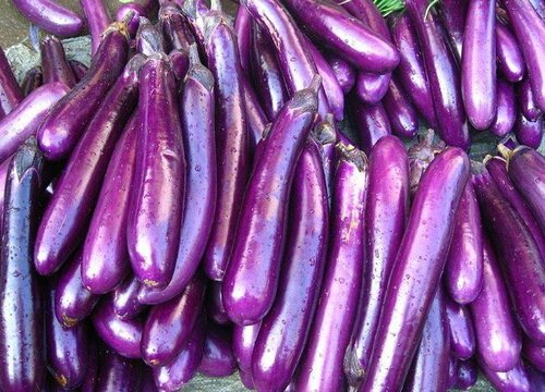 炒茄子需要去皮吗