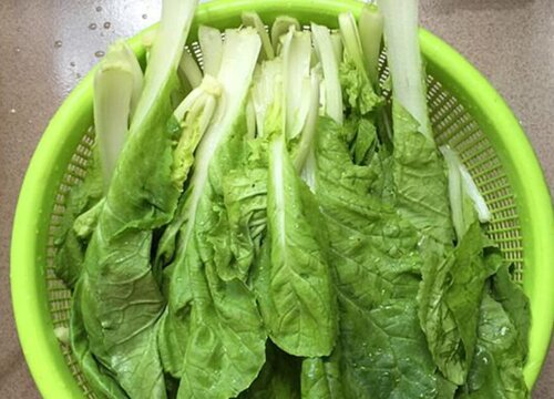 青菜可以生吃吗