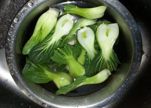 青菜可以生吃吗
