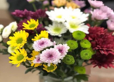 代表守护的花 什么花代表守护的意思