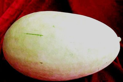什么人不适合吃 北瓜含糖量高吗
