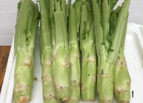 芥菜的功效与作用