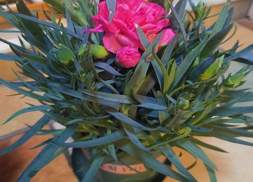 家里种百合花风水好吗