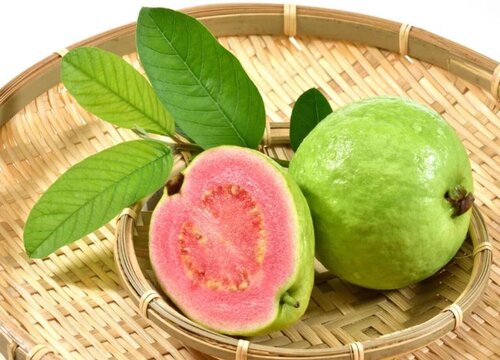 番石榴几月份成熟