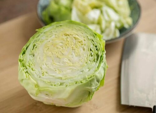 圆白菜是什么菜